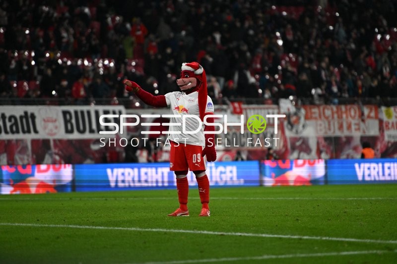 Maskottchen auf dem Spielfeld