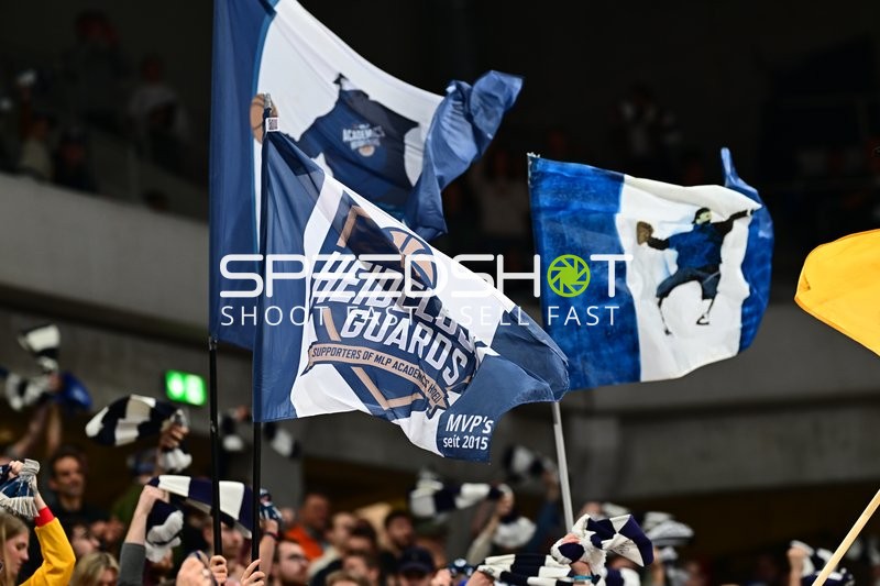 Fan-Szene mit Fahnen und Supportern