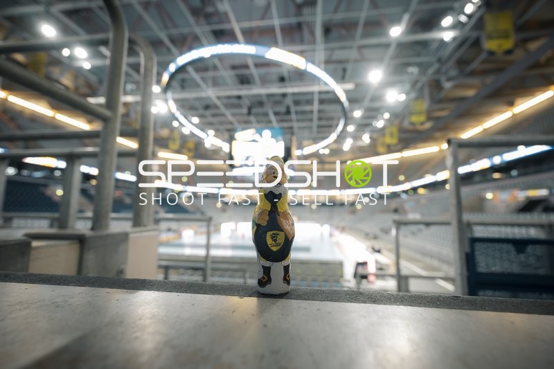 Leere SAP Arena bei Handballspiel