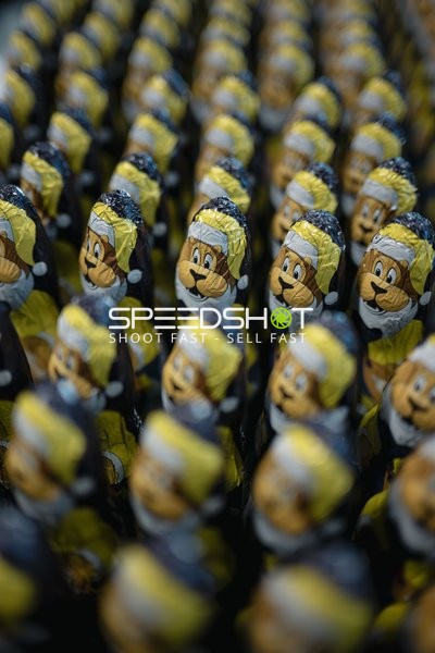 Schokoladenfiguren mit Löwen-Motiv