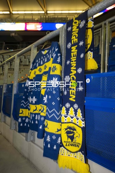 Fanszene mit Rhein-Neckar Löwen Merch