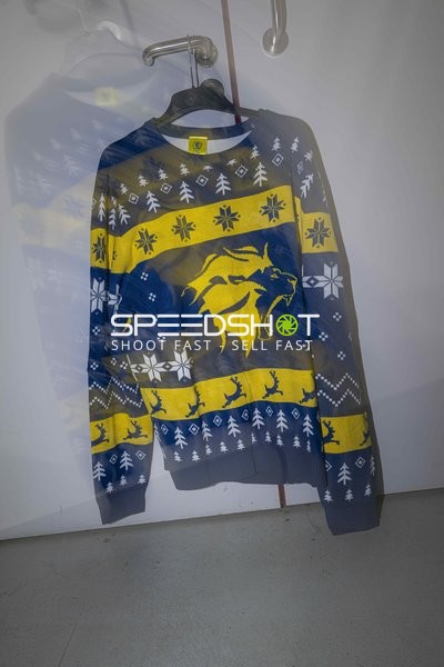 Pullover mit Löwen-Logo