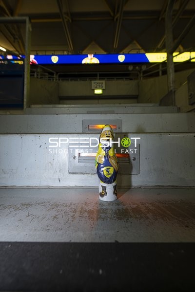 Stadion-Szene mit Maskottchen