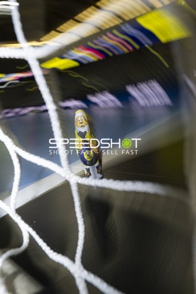 Maskottchenfigur am Handballtor