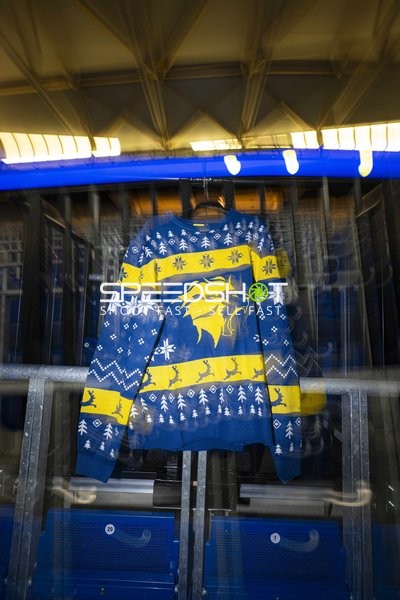 Fan-Pullover mit Löwen-Logo