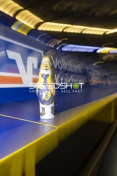 Maskottchen auf Tribüne