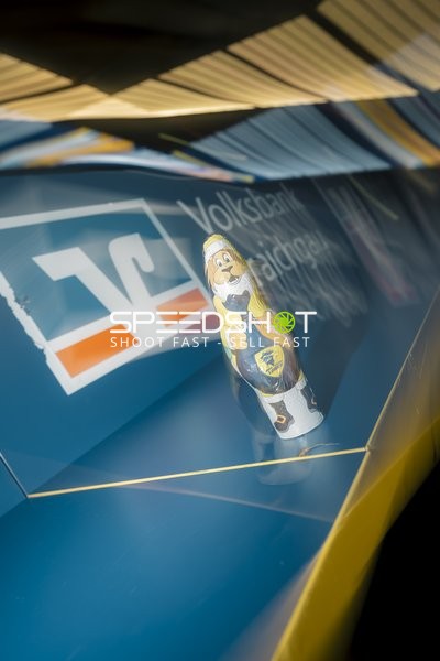 Figur mit Löwen-Logo