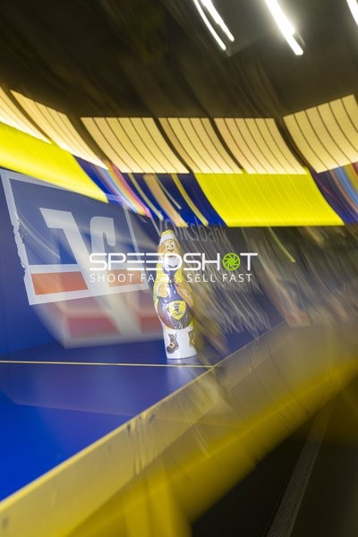 Löwen-Figur in Vereinsfarben