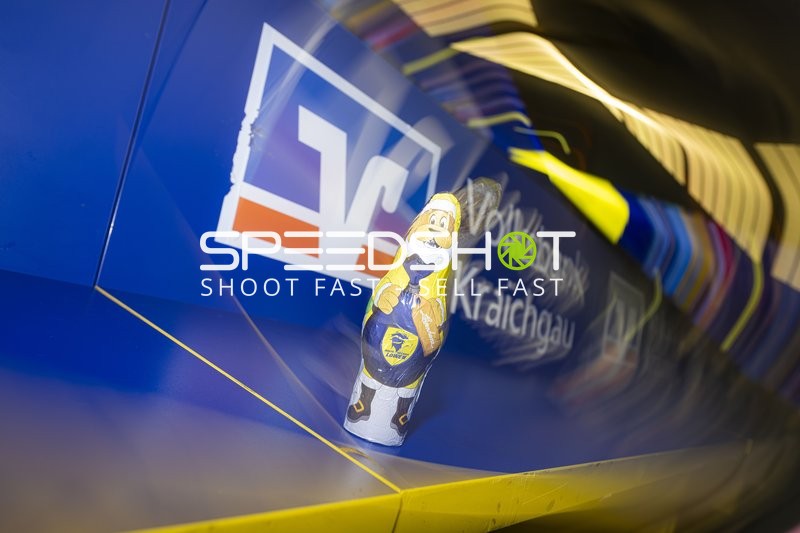 Schokoladenfigur Rhein-Neckar Löwen