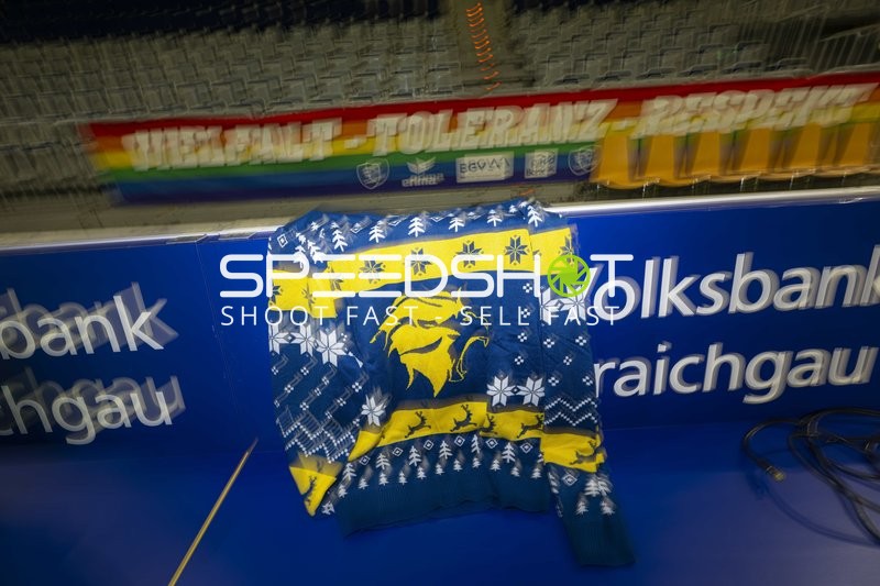 Rhein-Neckar Löwen Pullover in Arena