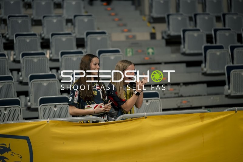 Fans in der Arena