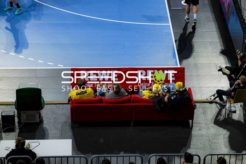 Fan-Szene in der SAP Arena