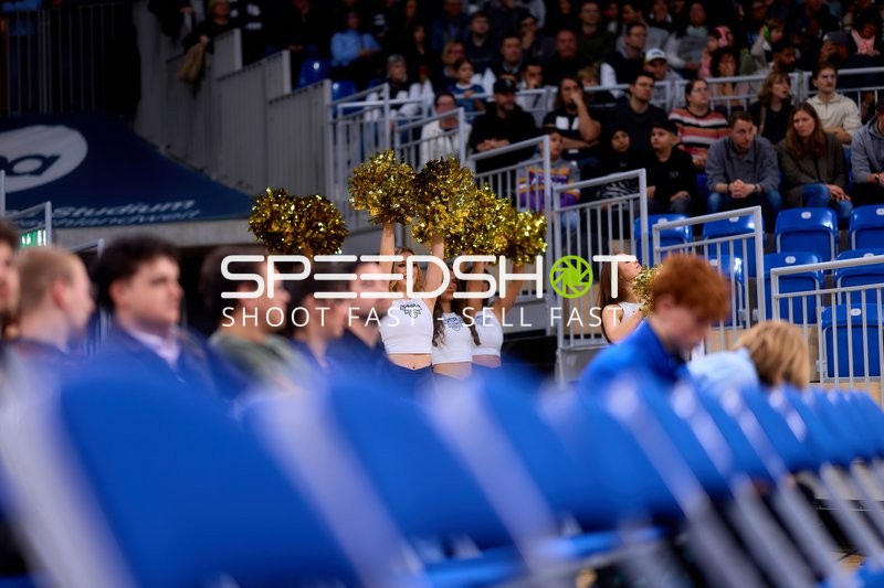 Fan-Szene in der Halle