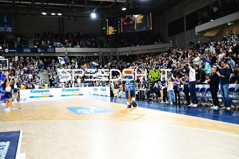 Fan-Szene mit Accy (99; MLP Academics Heidelberg)