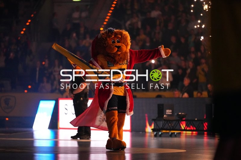 Fan-Szene in der SAP Arena