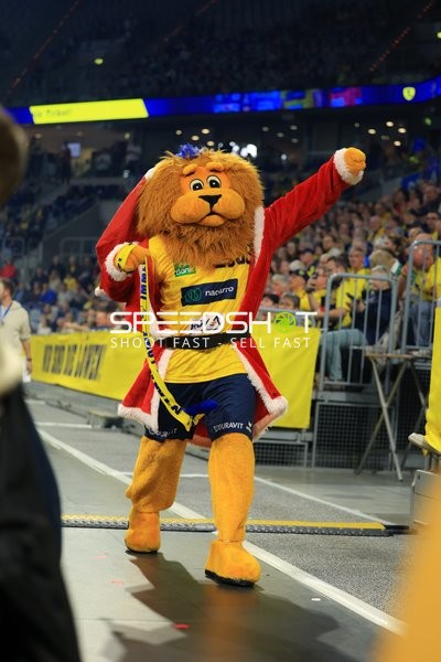 Fan-Szene in der SAP Arena