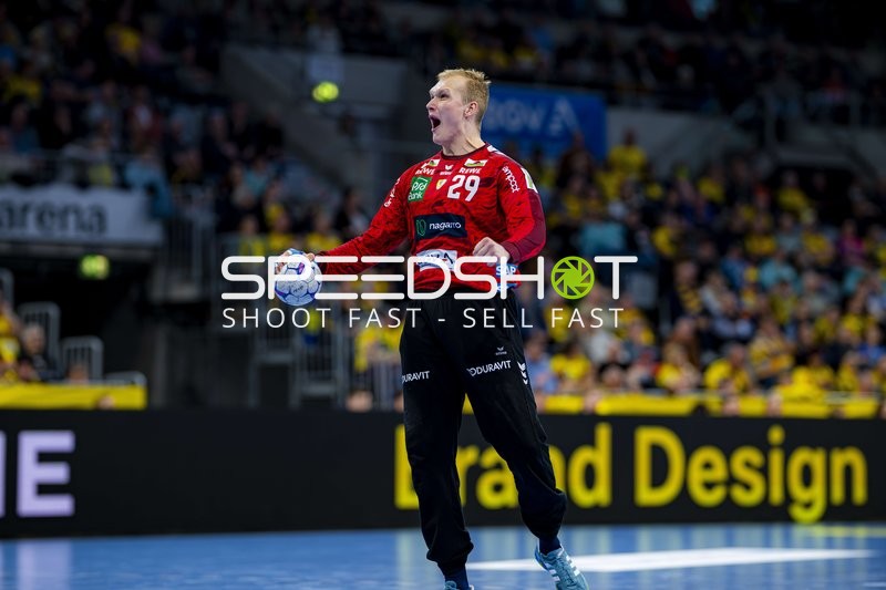 David Späth (29; Rhein Neckar Löwen) in Aktion