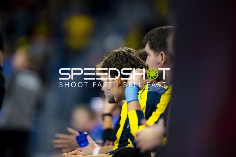 Spieler von Rhein Neckar Löwen auf der Bank