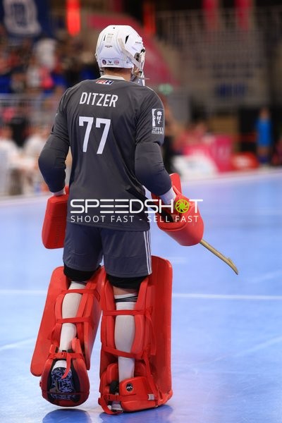 Torwart {77} in Aktion