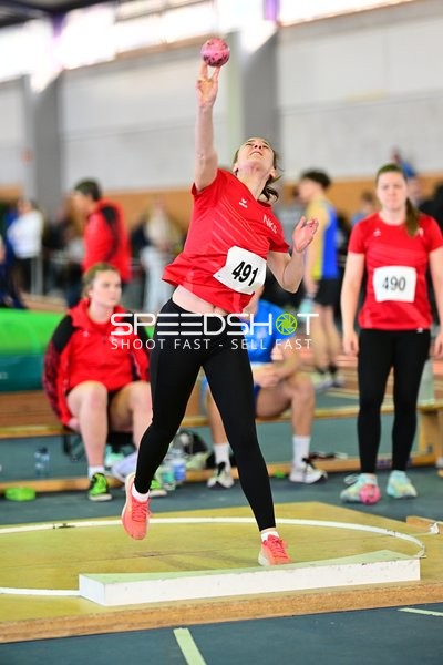 Schäfer Nina mit Wurf