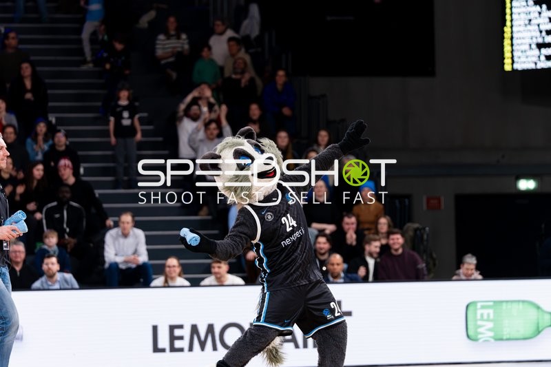 Maskottchen 24; Veolia Towers Hamburg am Spielfeldrand