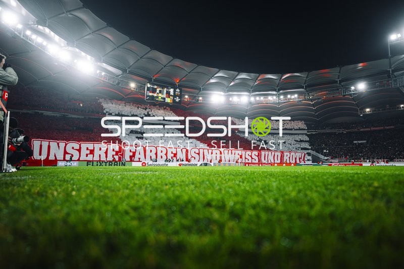 Choreografie in MHP-Arena