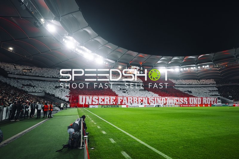 Choreografie in MHP-Arena