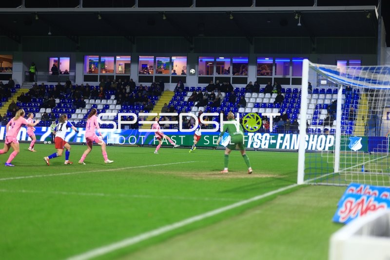 TSG Hoffenheim gegen Hamburger SV