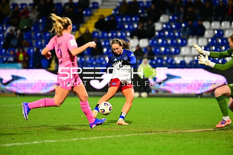 GPFBL: TSG Hoffenheim - Hamburger SV