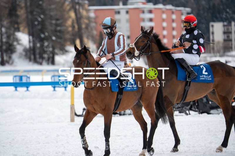 Pferderennen in St.Moritz