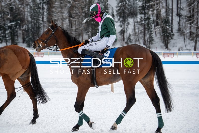 Reiter auf Pferd im Schnee