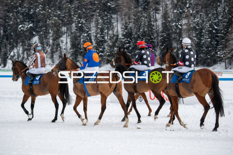 Pferderennen auf Schnee in St.Moritz