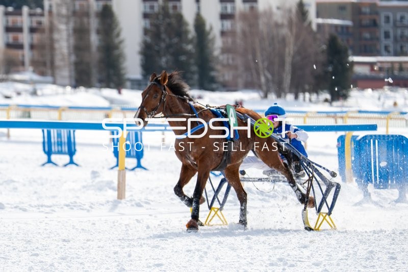 Pferderennen in St. Moritz