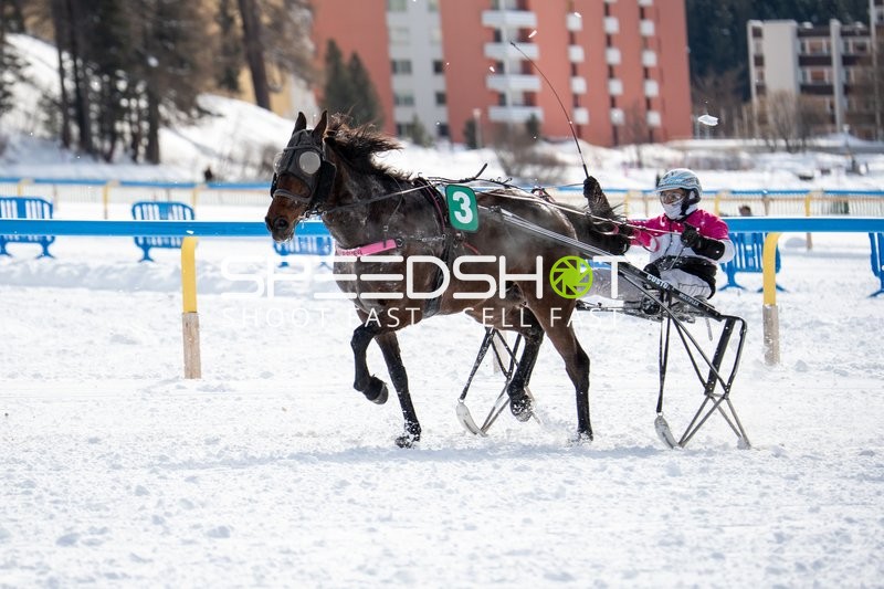 Pferderennen auf Schnee in St.Moritz