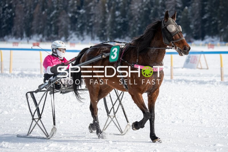 Pferdeschlittenrennen in St.Moritz