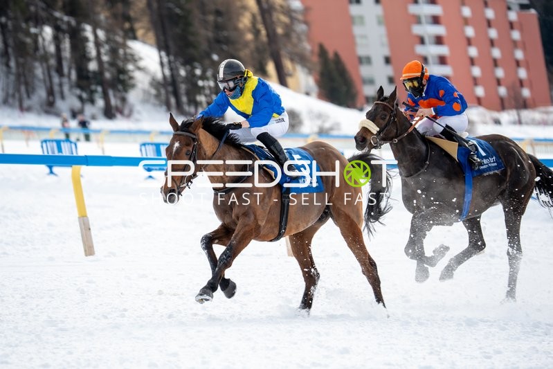 Pferderennen im Schnee in St.Moritz