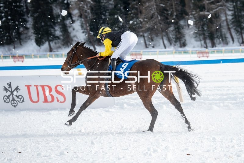 Pferderennen in St.Moritz