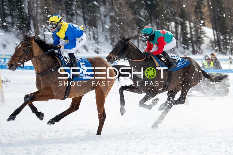 Pferderennen in St.Moritz