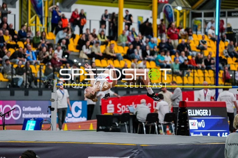 Ellinger J Hochsprung DM