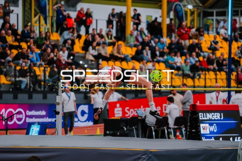 Ellinger J Hochsprung DM