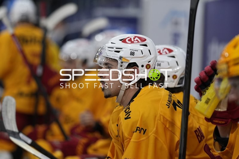 JEROME BACHOFNER (88; SCL Tigers) auf der Bank