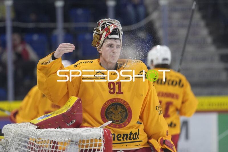 ROBIN MEYER (91; SCL Tigers) im Tor