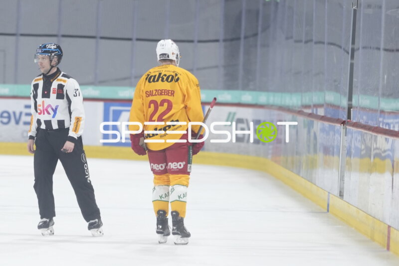 Spieler JOEL SALZGEBER (22; SCL Tigers) am Eisrand