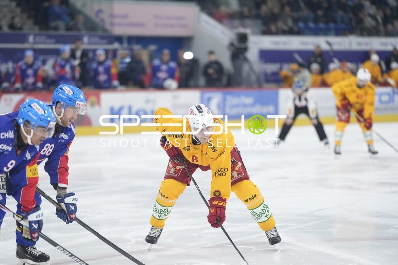 Faceoff zwischen SAKU MÄENALANEN (8; SCL Tigers) und Dario Meyer (88; EHC Kloten)