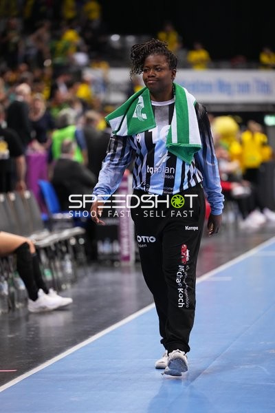Handball-Szene in Porsche-Arena
