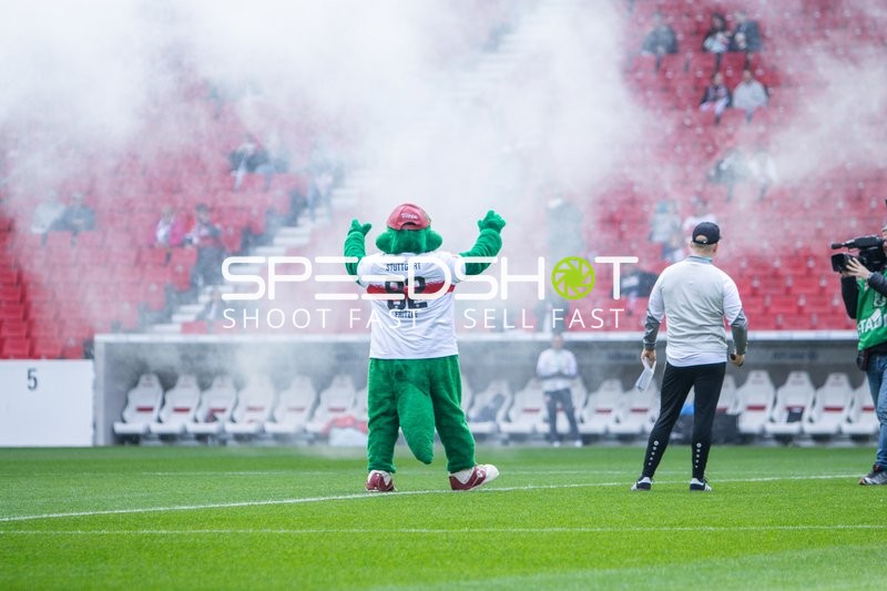 Maskottchen auf dem Spielfeld