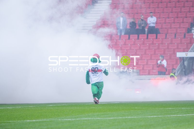 Maskottchen auf dem Spielfeld