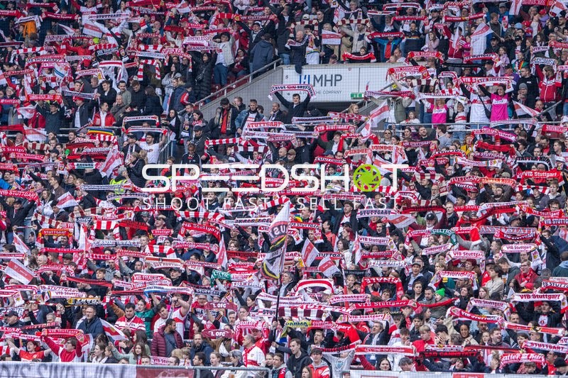 Fans feiern in Stuttgart