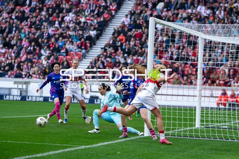 Torabschluss vor dem Tor