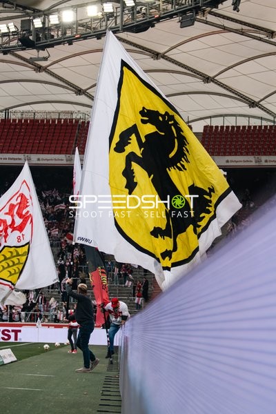 Fans schwenken Fahnen